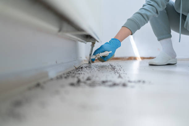 Reliable Riverside, PA Pest Control Solutions